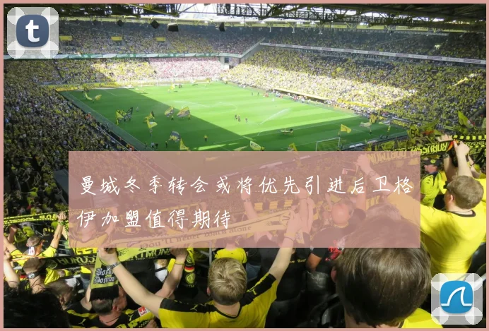 曼城冬季转会或将优先引进后卫格伊加盟值得期待