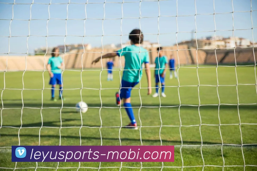 乐鱼体育APP 封面图