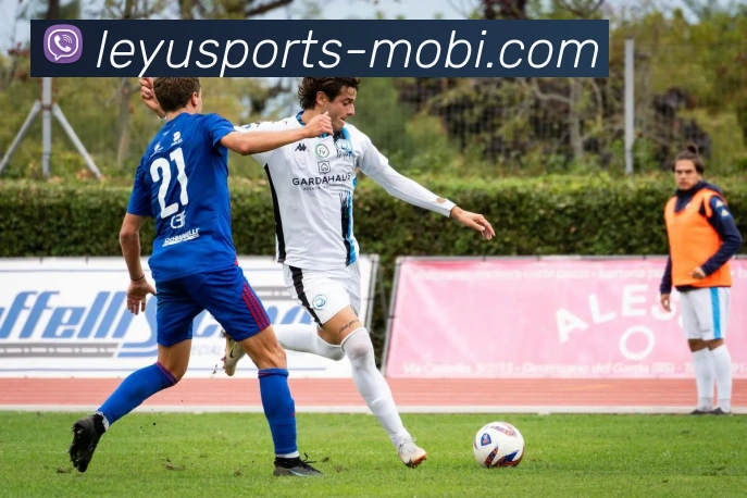 数据防护可视化