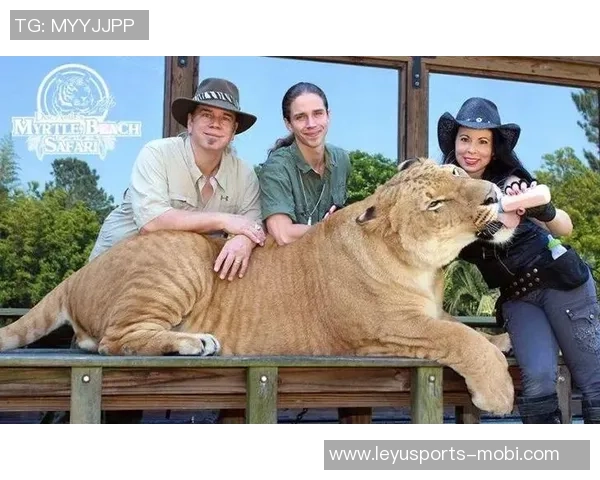 媒体人揭秘祖马与泰山传闻背后的推荐原因及薪资伤病隐患分析